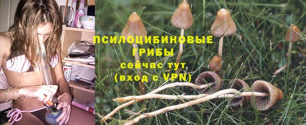 каннабис Алексеевка