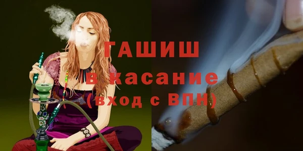 индика Алзамай