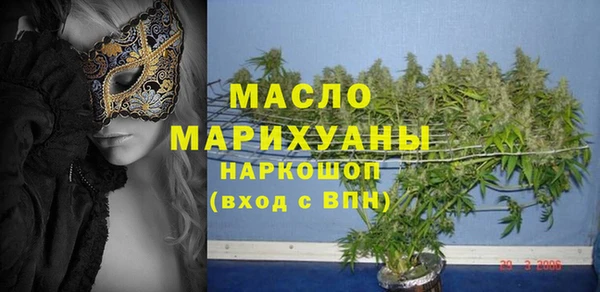индика Алзамай