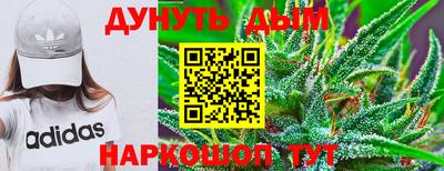 ECSTASY Обь