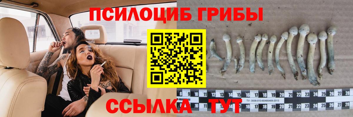 Галлюциногенные грибы Psilocybe  Вход с VPN  Симферополь 